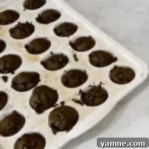 Stealthy Green Chocolate Mini Muffins 4 Round image of mini chocolate muffins with hidden veggies