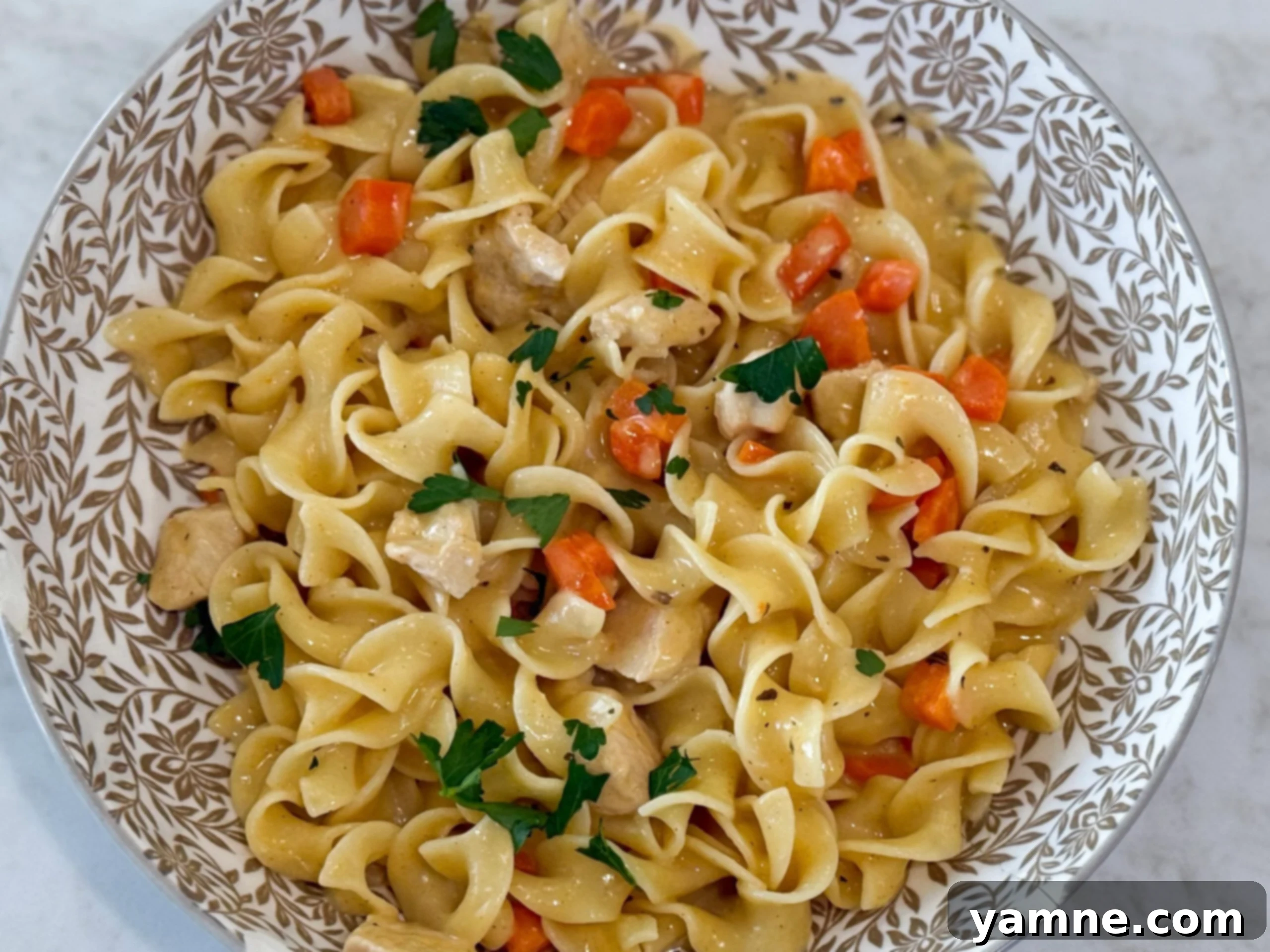 Velvety Chicken Noodle Bliss 2 A delicious bowl of Creamy Chicken and Egg Noodles, showcasing tender chicken, soft noodles, and a rich, golden cream sauce, garnished with fresh parsley.