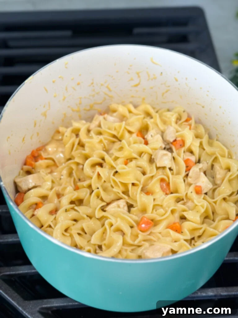 Velvety Chicken Noodle Bliss 7 Cooked egg noodles being tossed into a creamy chicken mixture in a large pan.