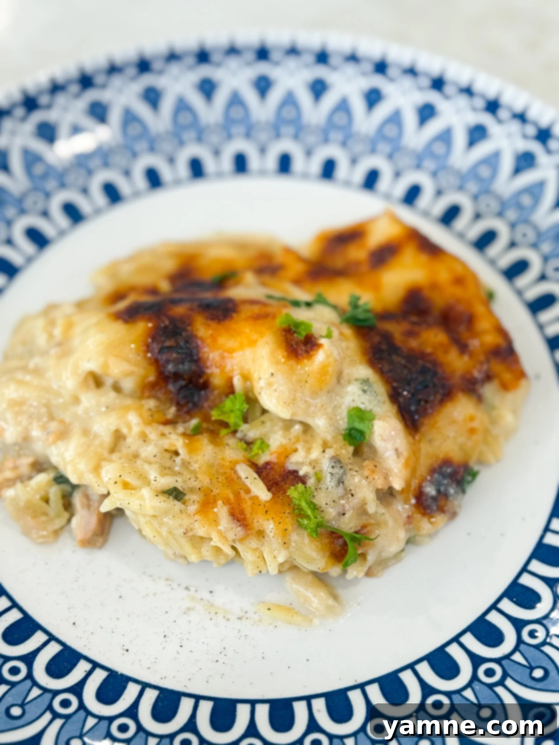 Spinach Chicken Orzo Casserole baked in a 9x13 dish with golden cheese topping