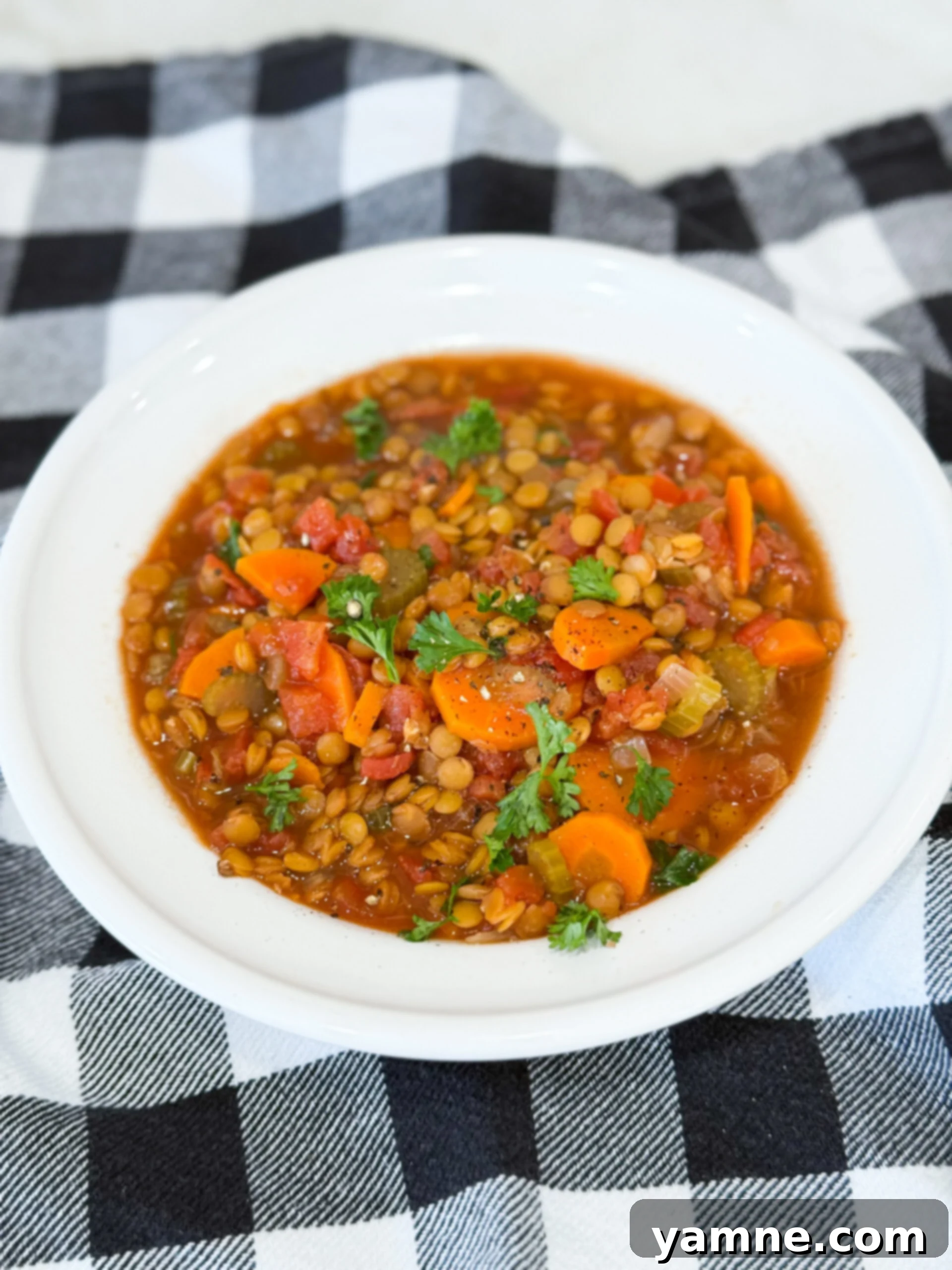 Bowl of Slow Cooker Lentil Soup Stew with carrots, celery, and lentils