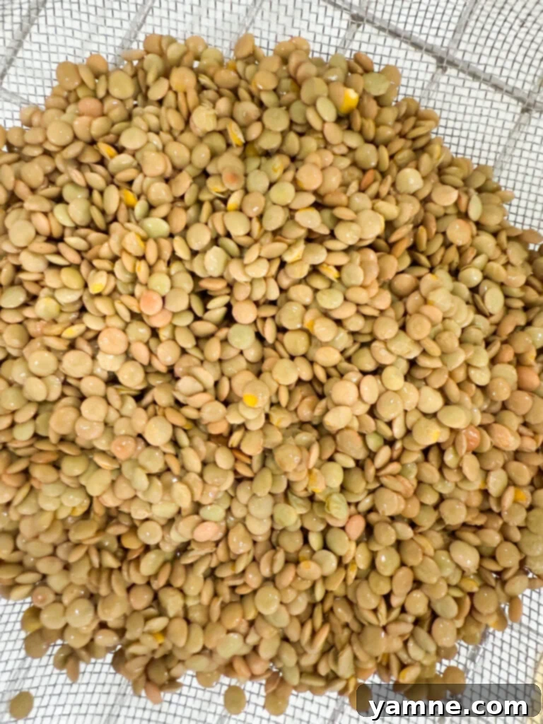 washed lentils in a colander