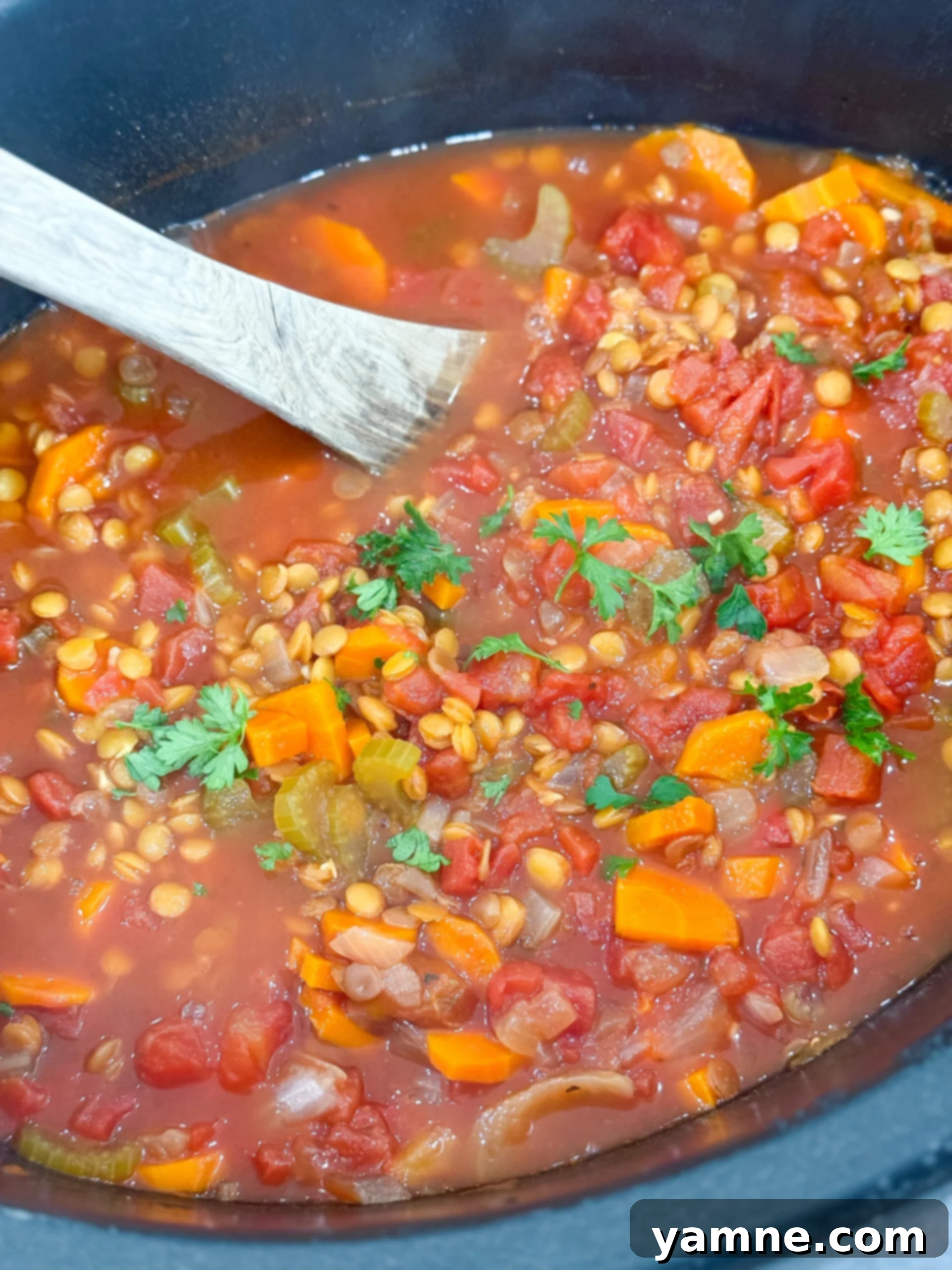 Slow cooker filled with cooked lentil soup