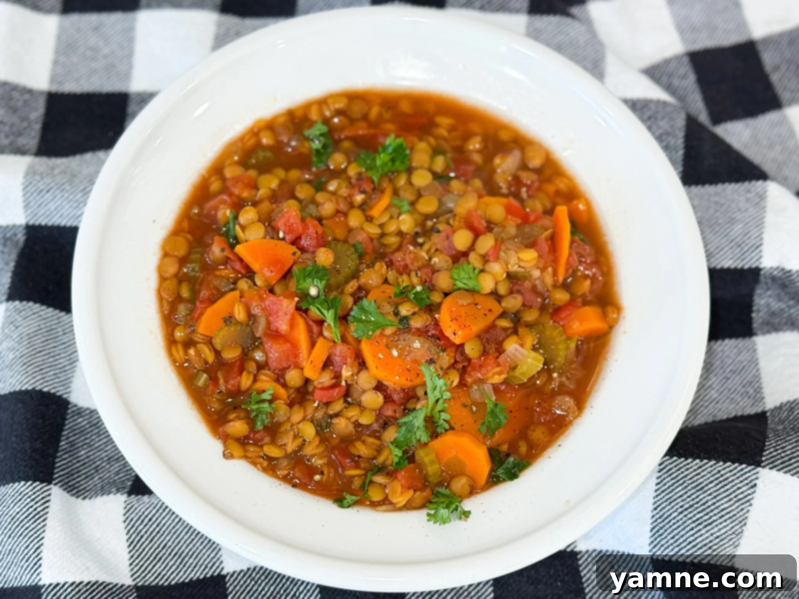 Finished Slow Cooker Lentil Soup Stew topped with Parmesan