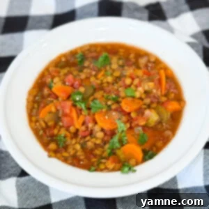 Bowl of Slow Cooker Lentil Soup Stew with carrots, celery, and lentils