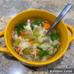 A comforting bowl of Hearty Crockpot Chicken Noodle Soup, filled with tender chicken, colorful vegetables, and long egg noodles in a clear broth.