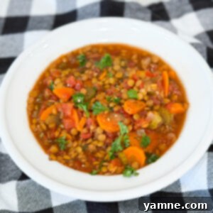 A close-up of a rustic bowl of Slow Cooker Lentil Soup Stew, showcasing carrots, celery, and tender lentils in a rich broth.