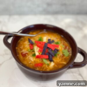 A colorful bowl of slow cooker chicken tortilla soup, garnished with fresh avocado slices, cilantro, and crispy tortilla strips.