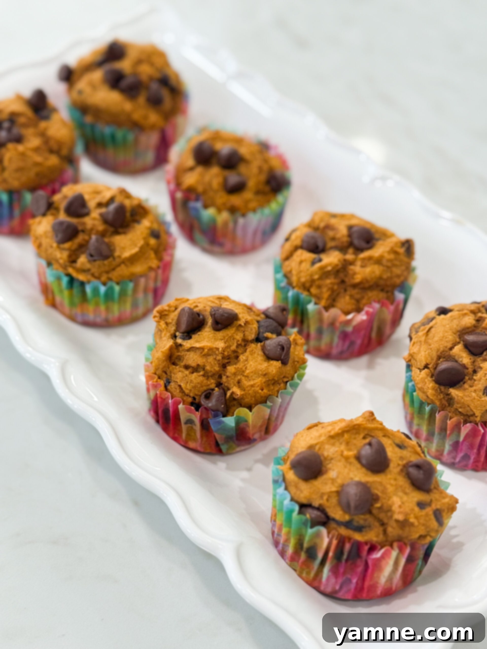 8 Magical 3-Ingredient Recipes for Easy Dinners and Delicious Treats 9 Pumpkin chocolate chip muffins on a cooling rack.