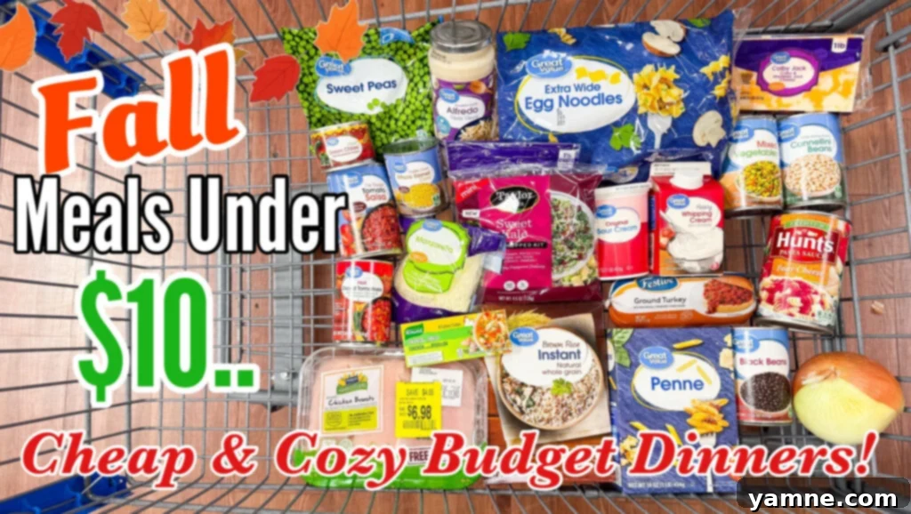 Budget-Friendly Fall Feasts: 5 Delicious Dinners Under $10 2 Collage of 5 budget-friendly fall dinner recipes