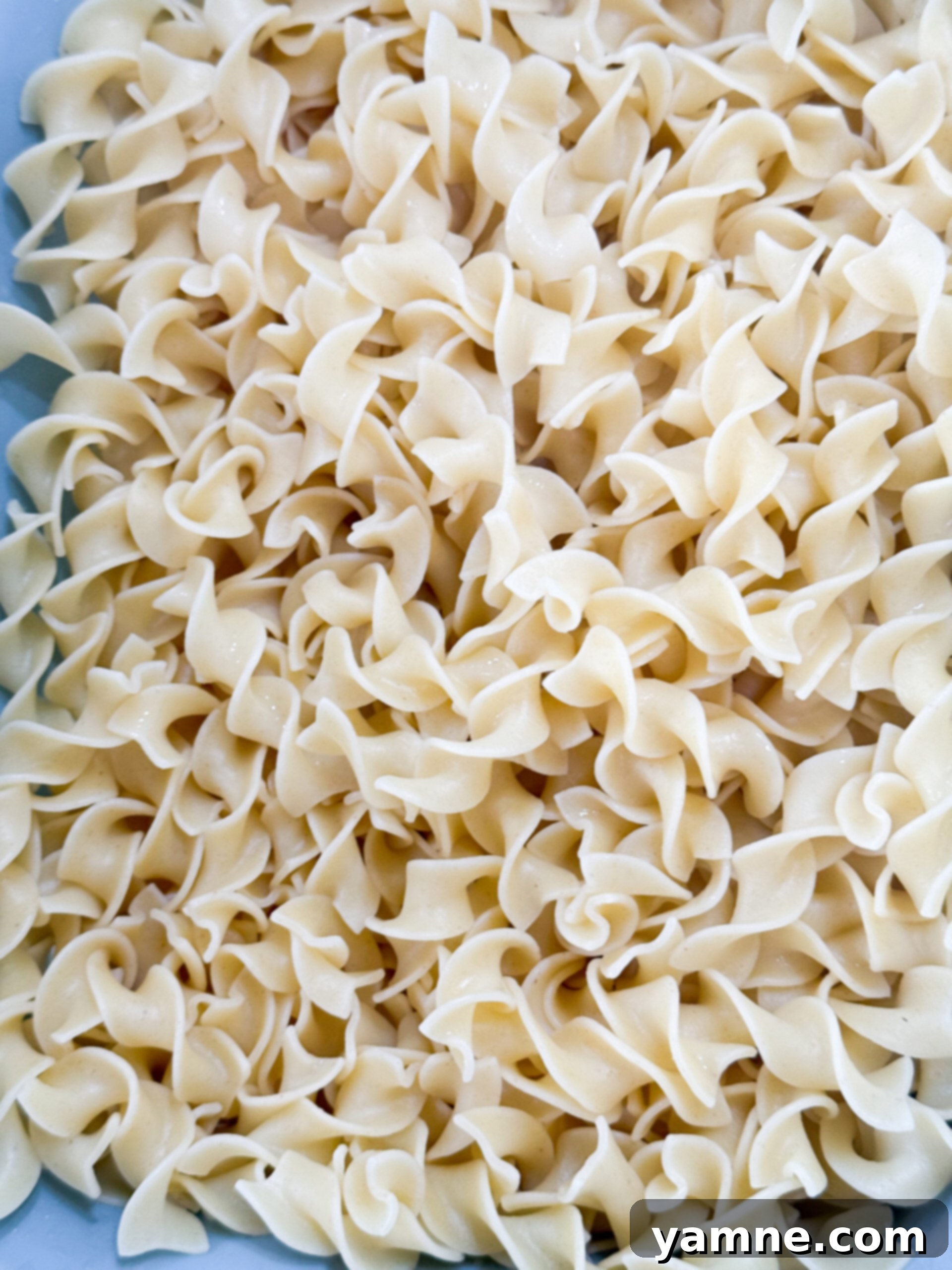 Easy Slow Cooker Beef Stroganoff 11 A bowl of cooked egg noodles, perfectly prepared to be served with beef stroganoff.