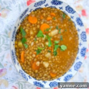 Lentil Stew