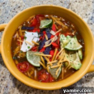Hearty Beef Enchilada Soup 2 Delicious Beef Enchilada Soup topped with fresh cilantro