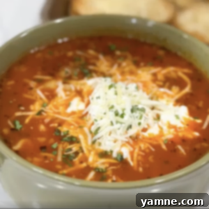 Ultimate Lasagna Soup 1 A bowl of hearty Lasagna Soup, garnished with cheese and fresh herbs.