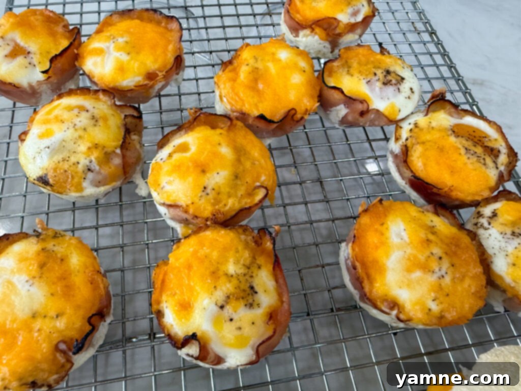 Delicious and convenient Breakfast Ham and Egg bites in a muffin tin