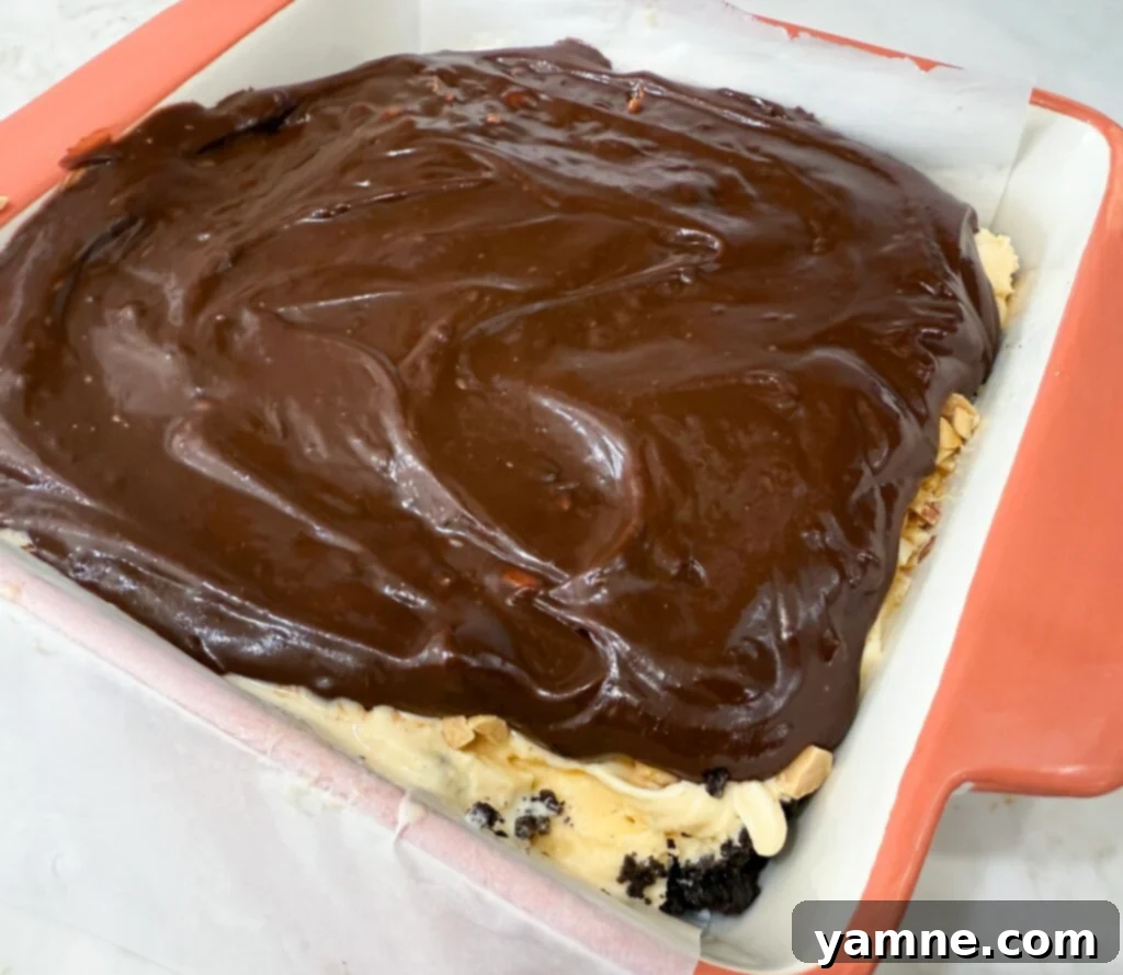 Buster Bar Ice Cream Delight 11 fudgy choclate sauce for cake