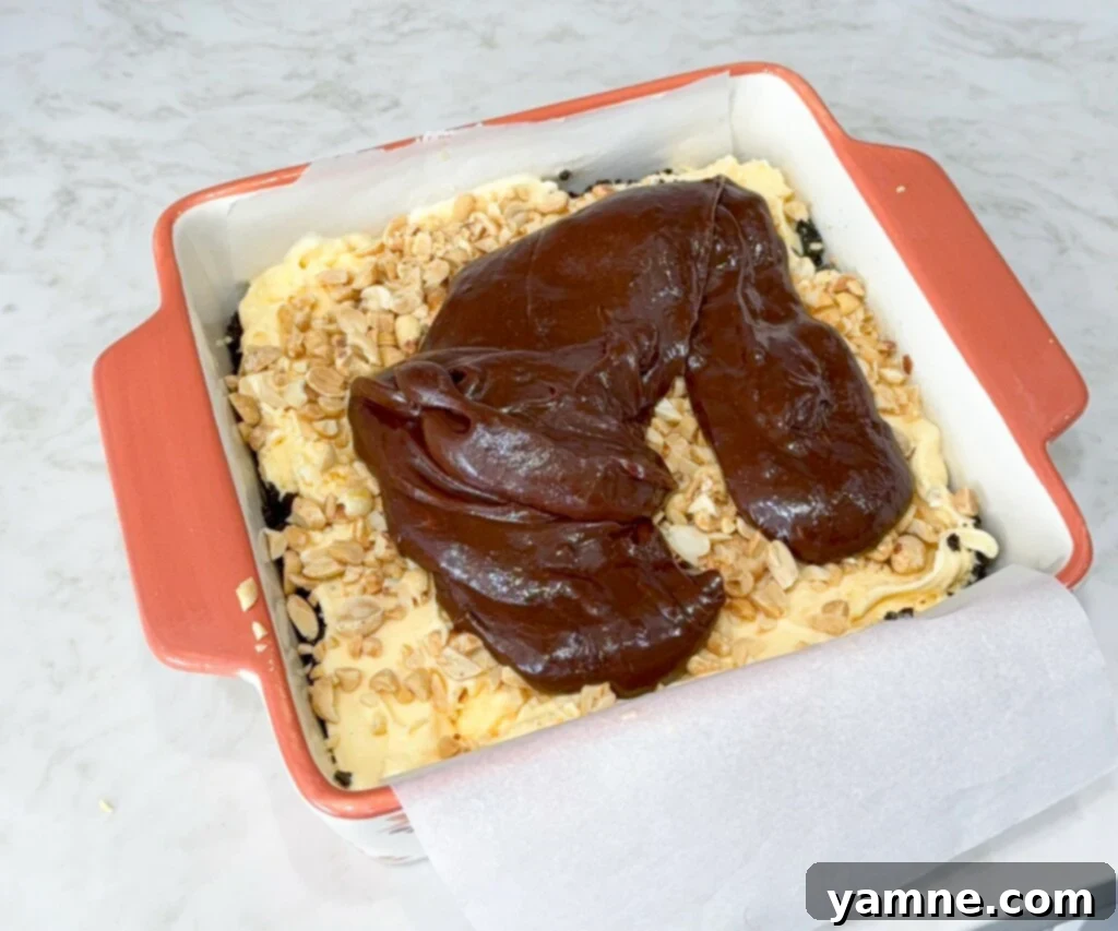 Buster Bar Ice Cream Delight 10 add fudge topping