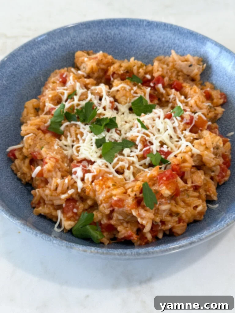 cooked caprese chicken and riceon a plate