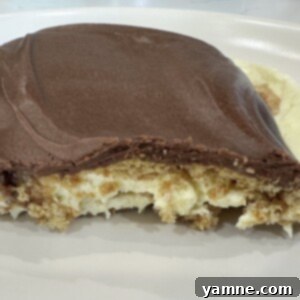 No-Bake Eclair Delight 2 Delicious Eclair No-Bake Cake layers