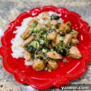 Chicken and Broccoli Stir-Fry