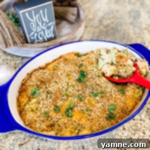Creamy and Cheesy Chicken Divan Casserole with Tender Broccoli