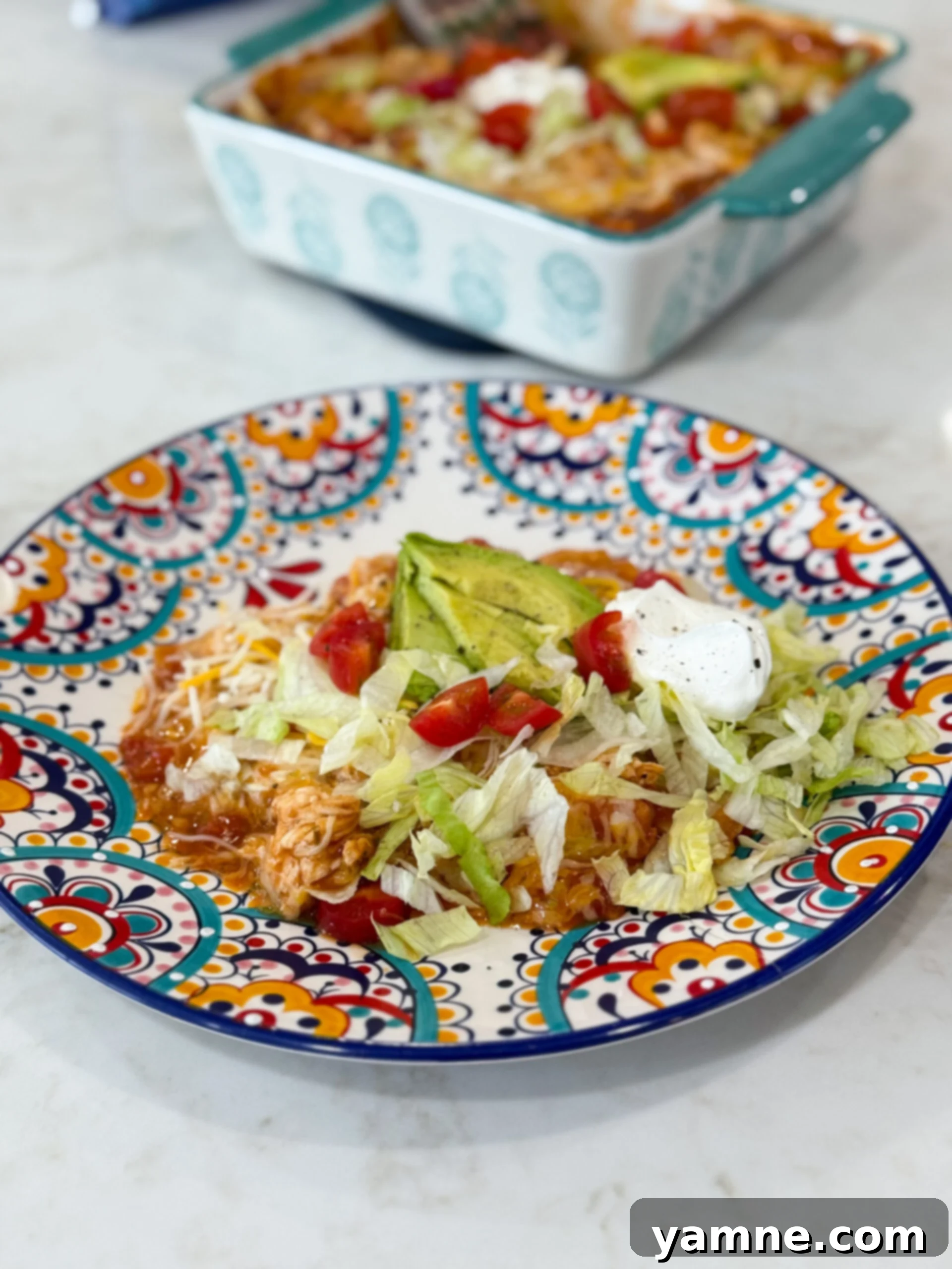 Red Chili Chicken Enchiladas on a plate with toppings