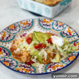 Finished dish of Red Chili Chicken Enchiladas