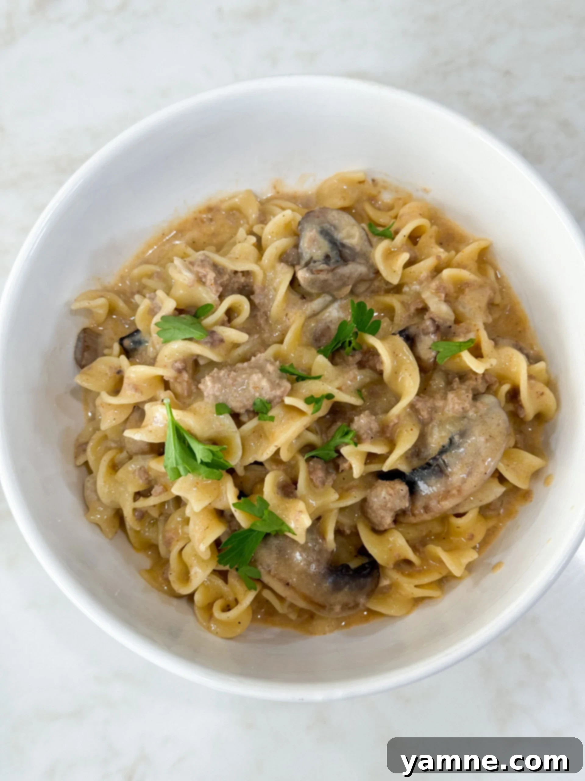 A bowl of creamy ground beef stroganoff served over tender egg noodles, ready to be enjoyed.