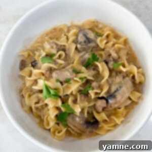 A perfectly portioned bowl of cooked egg noodles and ground turkey (or beef) stroganoff, showcasing the creamy sauce and tender ingredients.