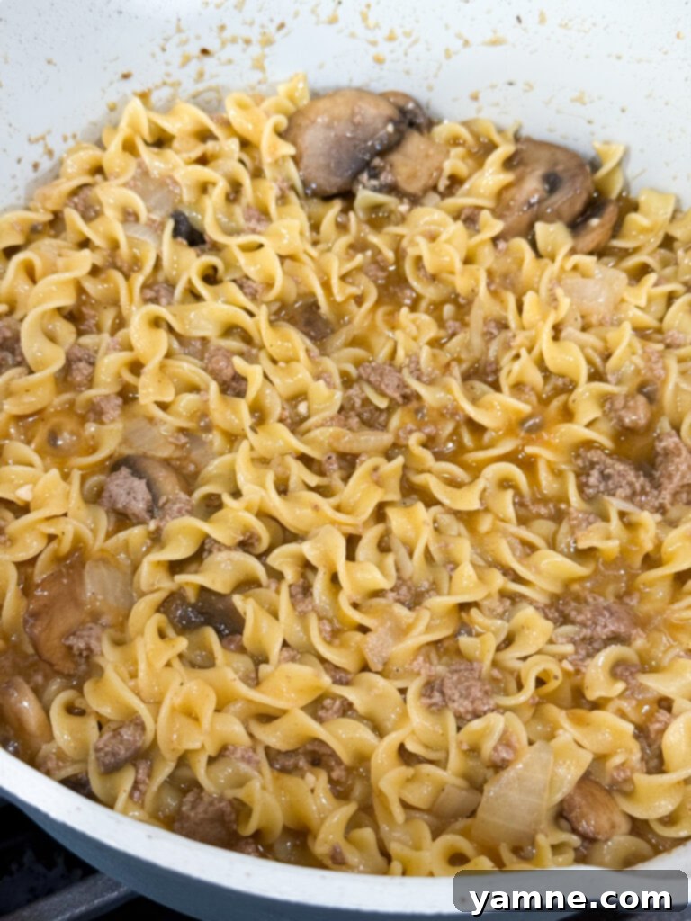 Cooked turkey and egg noodles mixed in a rich stroganoff sauce in a large skillet, ready to be served.