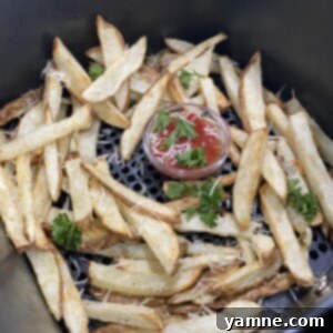 Air-Fried Potato Perfection 2 Air Fryer French Fries on a plate with dipping sauce