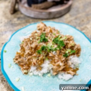 Delicious Slow Cooker Honey Garlic Chicken served with rice