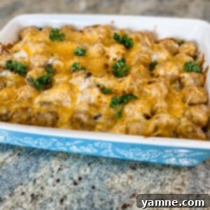 Cheesy Tater Tot Casserole 2 Delicious Tater Tot Casserole, golden brown and bubbly, ready to be served