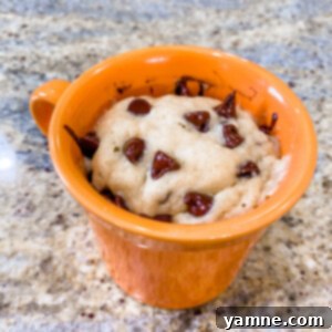 Delicious Microwave Peanut Butter Chocolate Chip Mug Cake