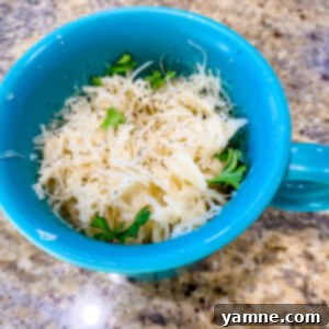 Microwave Alfredo Noodles