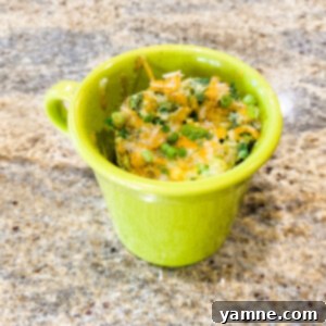 Microwave Loaded Omelette