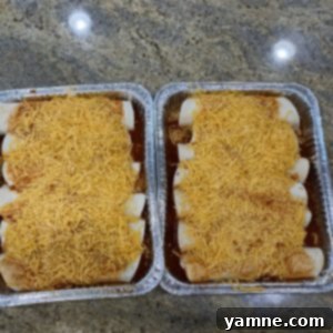 Vibrant Red and Green Chile Chicken Enchiladas 2 Delicious Red and Green Chili Chicken Enchiladas