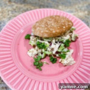 Elevated Chicken Salad Sandwich Creations 2 Delicious Chicken Salad Sandwich