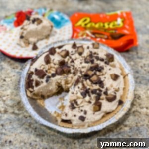 Delicious Creamy Peanut Butter Pie topped with chopped Reese's peanut butter cups and chocolate chips.