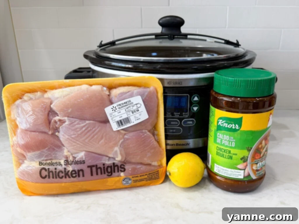 All the fresh ingredients needed for seasoned lemon chicken thighs