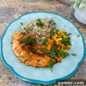 Flavorful Seasoned Chicken and Rice 2 Delicious Seasoned Chicken and Rice