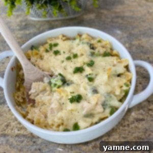 Creamy Chicken Alfredo Bake with golden cheesy topping