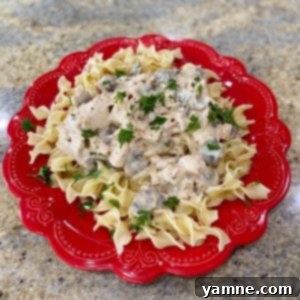 Rotisserie Chicken Stroganoff