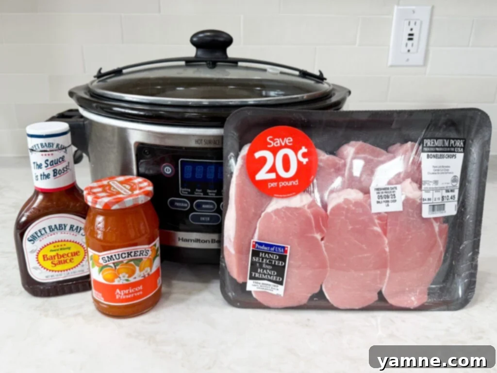 BBQ pork chop ingredients