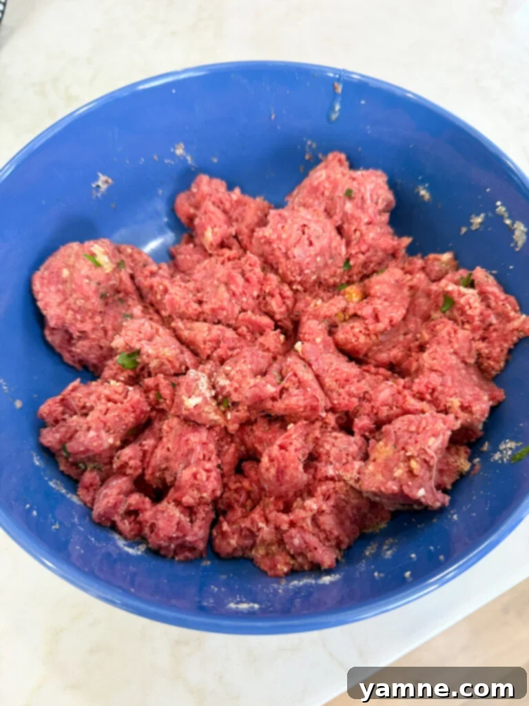 Slow cooker meatball sub meat mixture