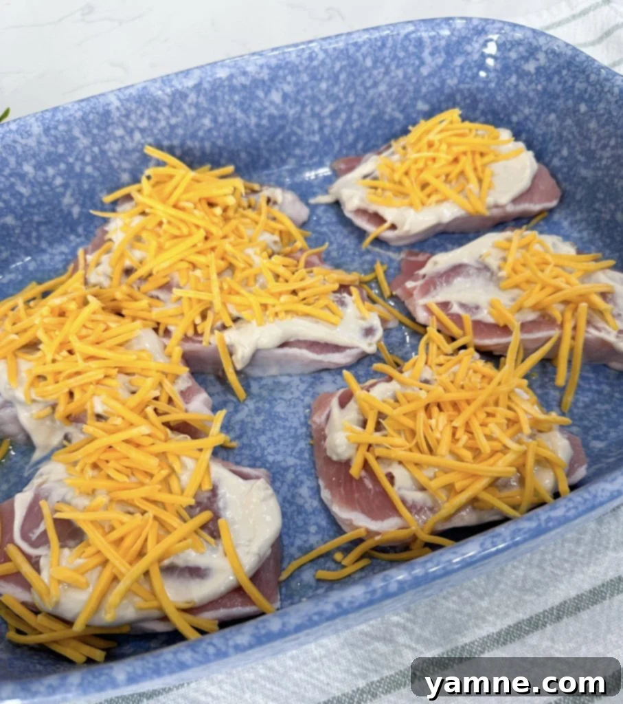 French Onion Dip on Pork Chops