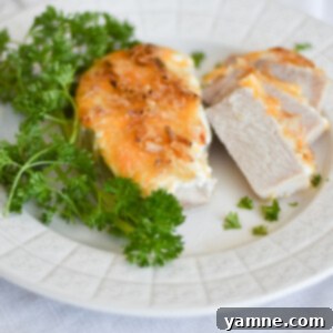 French Onion Pork Chops