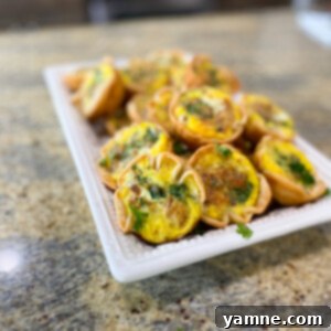 Mini Pie Crust Quiche Bites