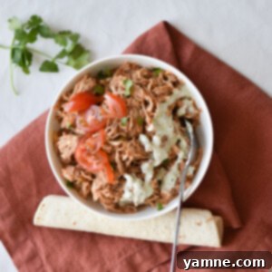 Honey-Glazed Pork Burritos 2 A delicious sweet pork burrito with creamy tomatillo dressing, served with fresh toppings.