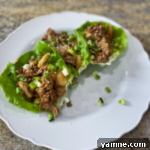 Savory Ground Turkey Lettuce Wraps with fresh herbs
